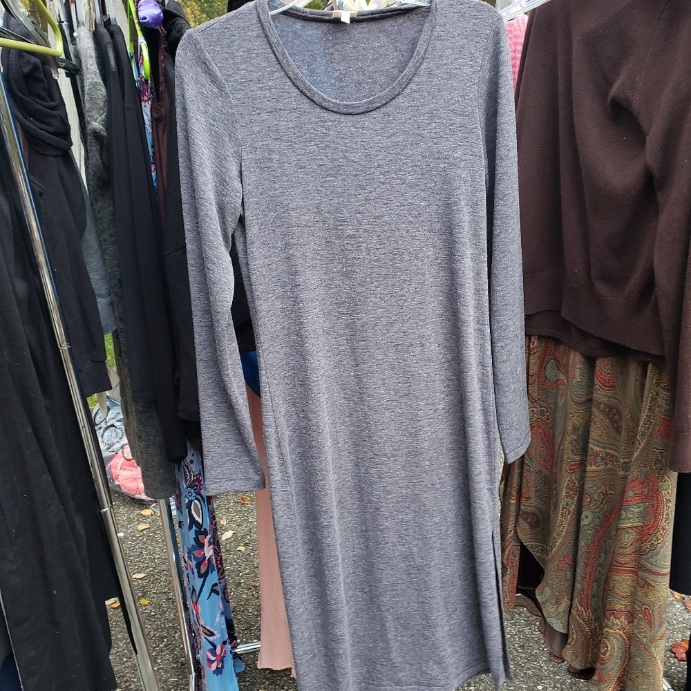 Wilfred (aritzia) dress